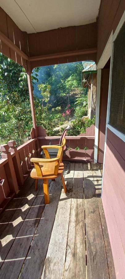Pak Mus Guest House Ketambe - 0813-7072-1793 Kutacane Exterior foto