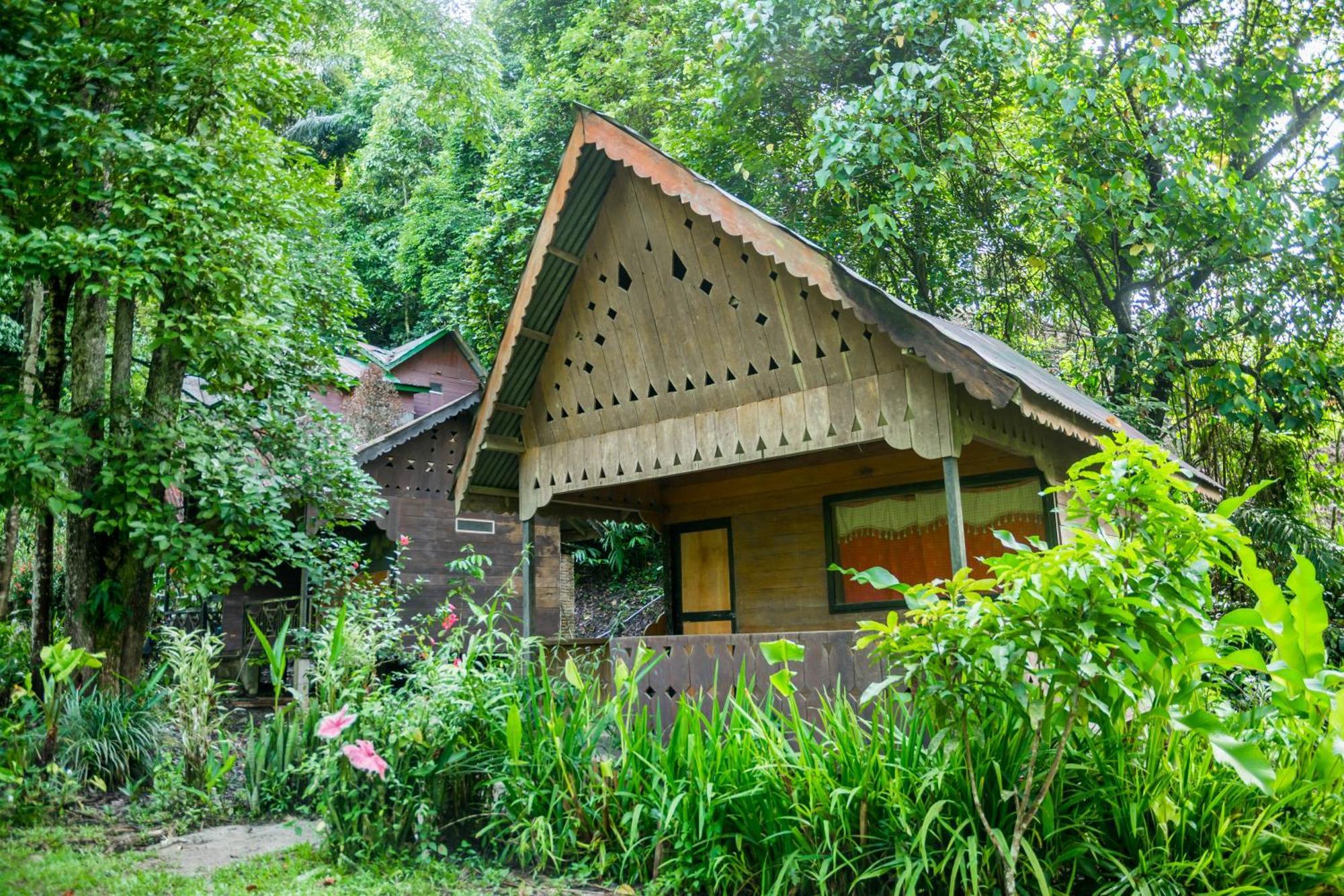 Pak Mus Guest House Ketambe - 0813-7072-1793 Kutacane Exterior foto
