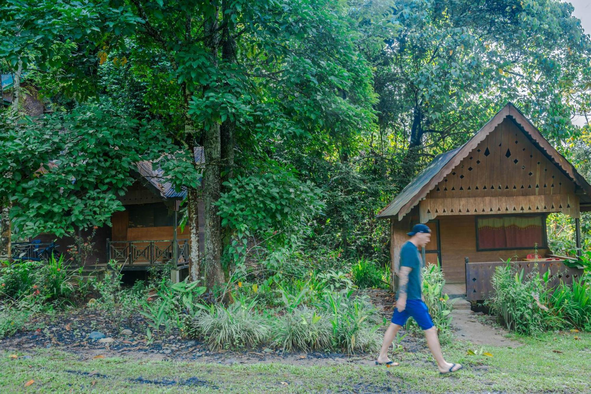 Pak Mus Guest House Ketambe - 0813-7072-1793 Kutacane Exterior foto