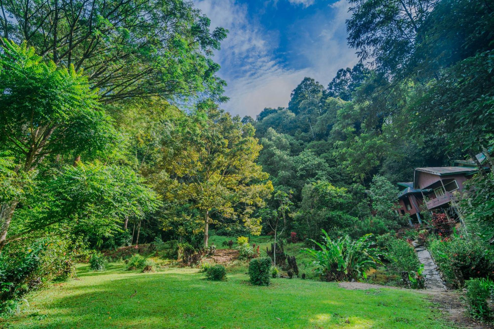 Pak Mus Guest House Ketambe - 0813-7072-1793 Kutacane Exterior foto