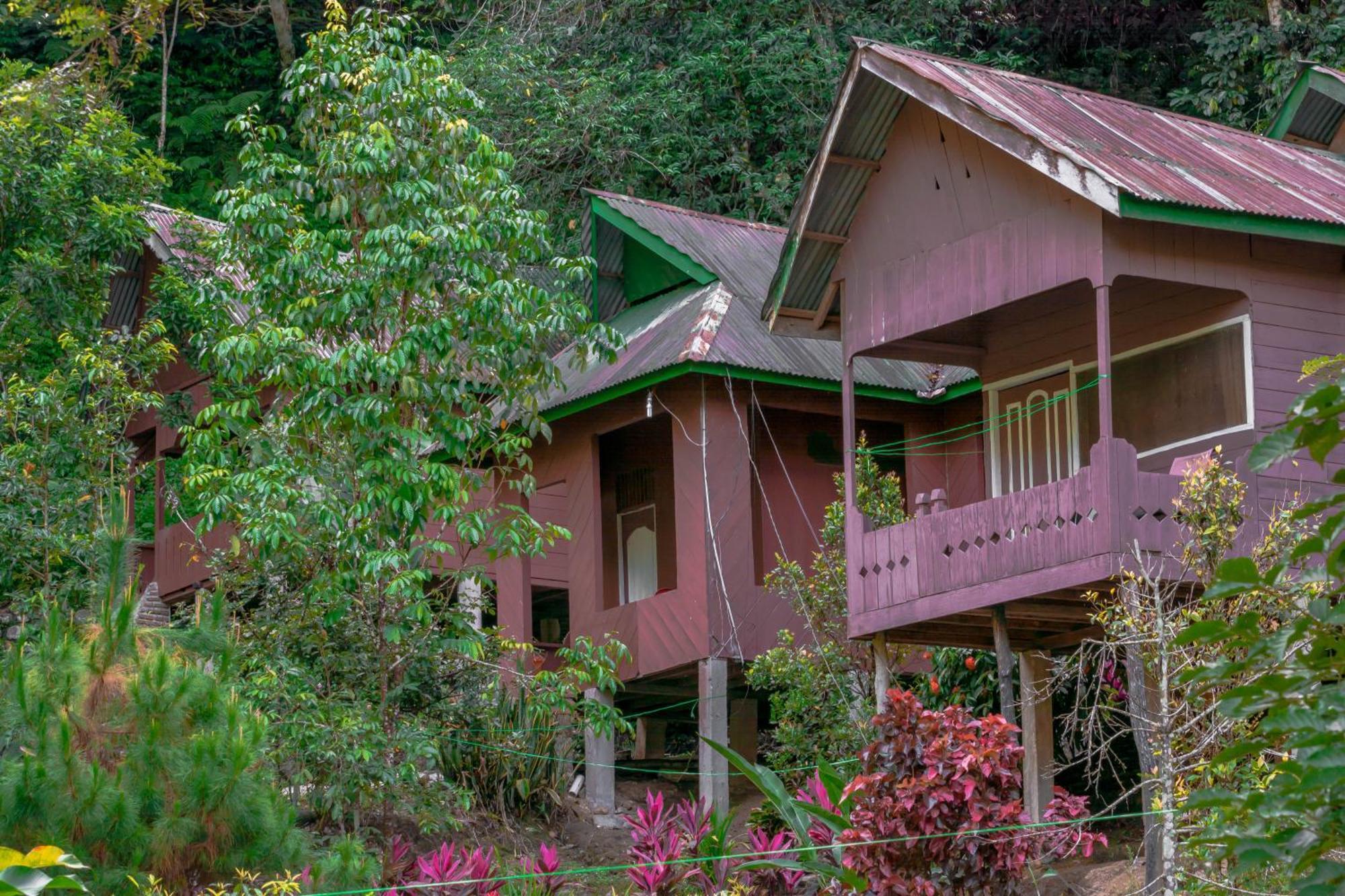 Pak Mus Guest House Ketambe - 0813-7072-1793 Kutacane Exterior foto