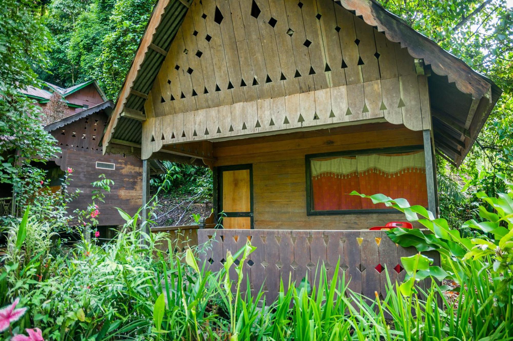 Pak Mus Guest House Ketambe - 0813-7072-1793 Kutacane Exterior foto