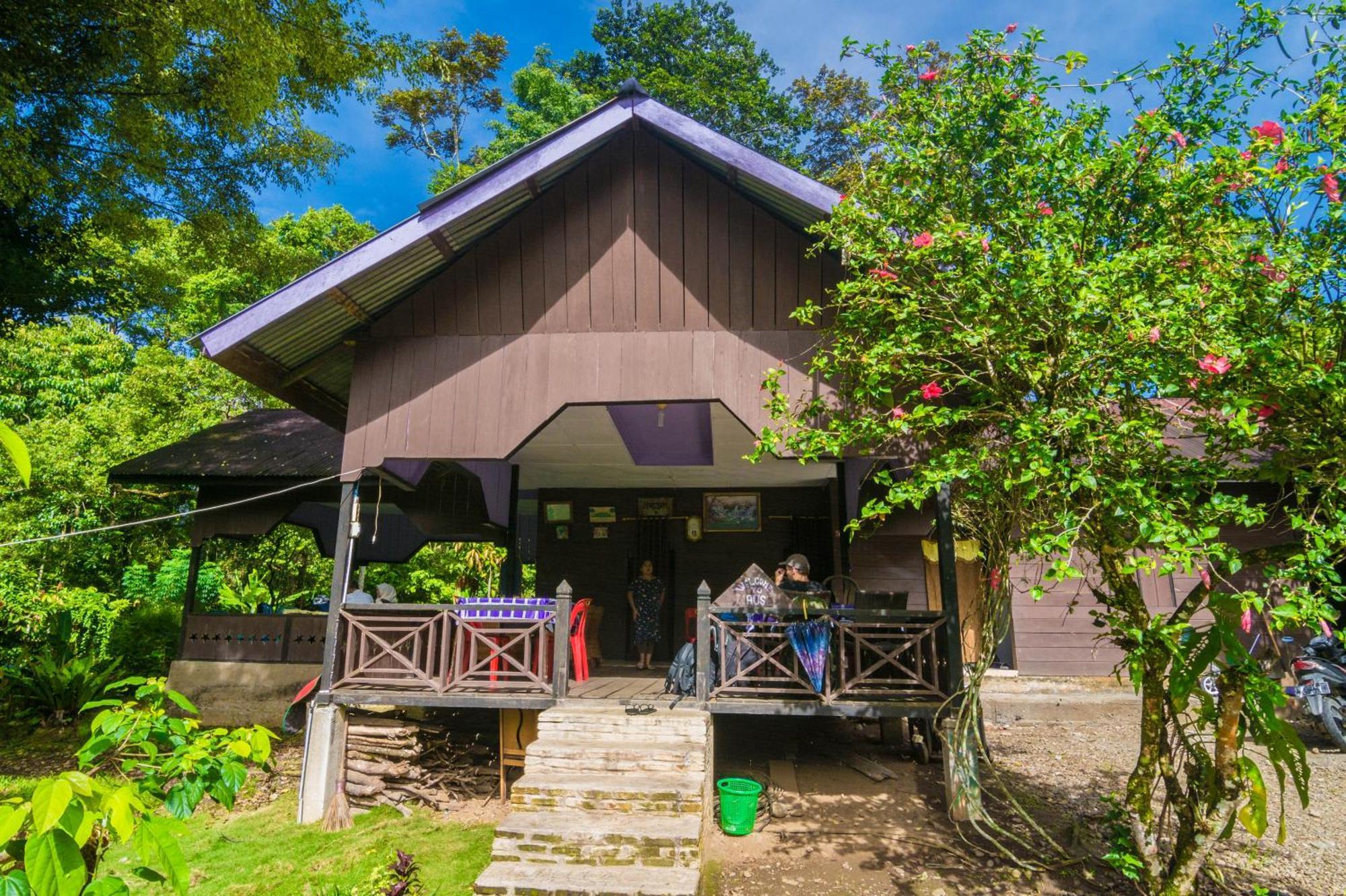 Pak Mus Guest House Ketambe - 0813-7072-1793 Kutacane Exterior foto